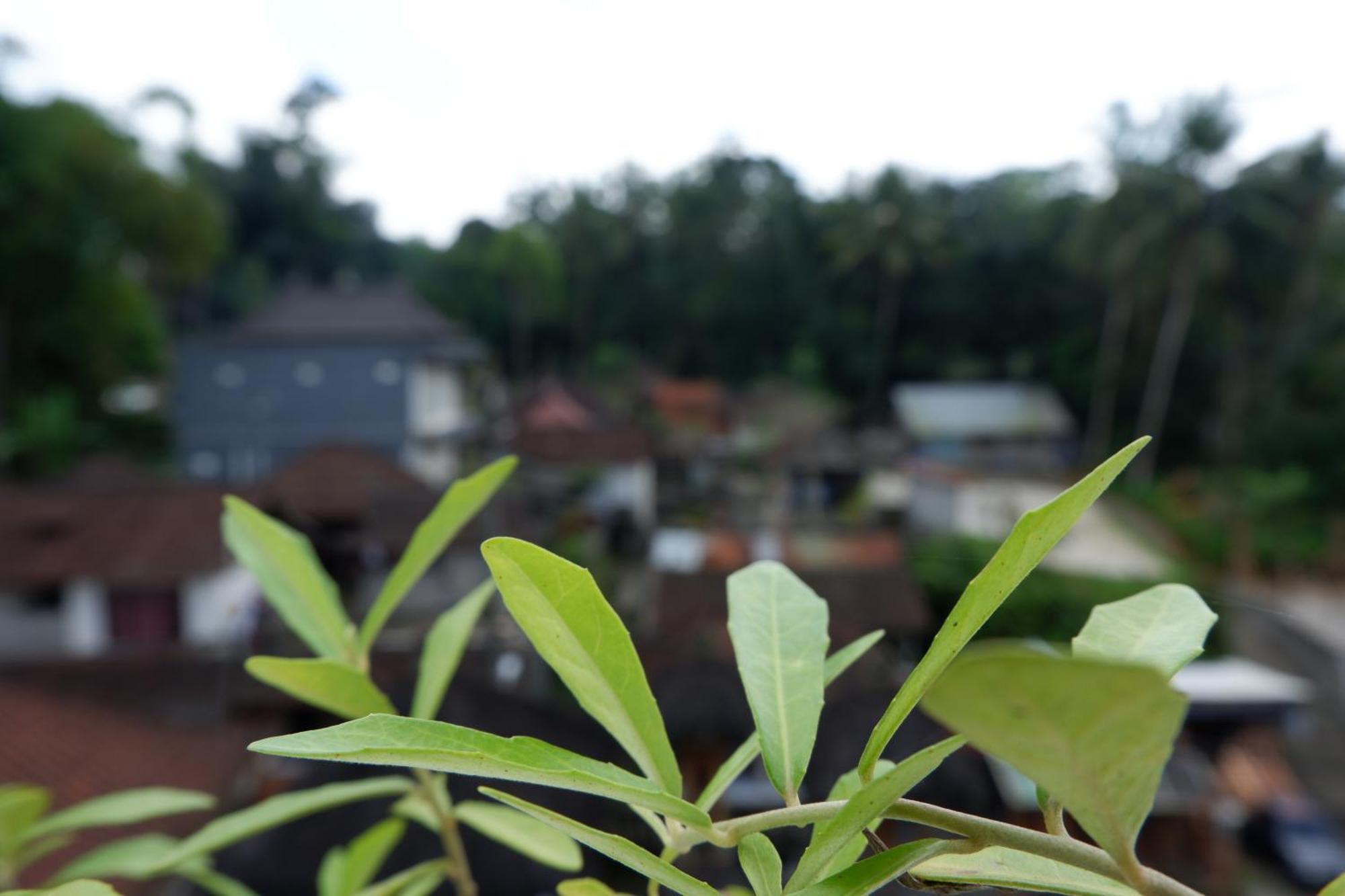 Ramaya Ubud View By Eps 외부 사진