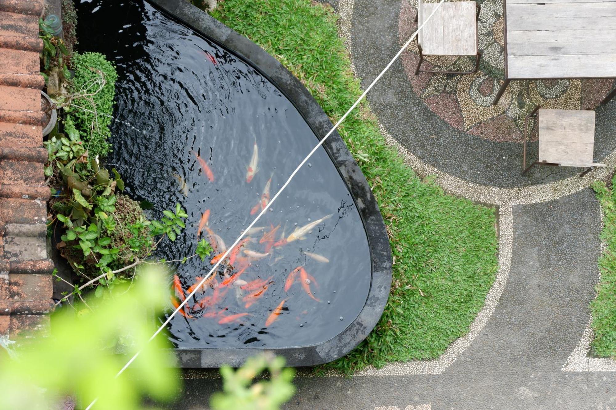 Ramaya Ubud View By Eps 외부 사진
